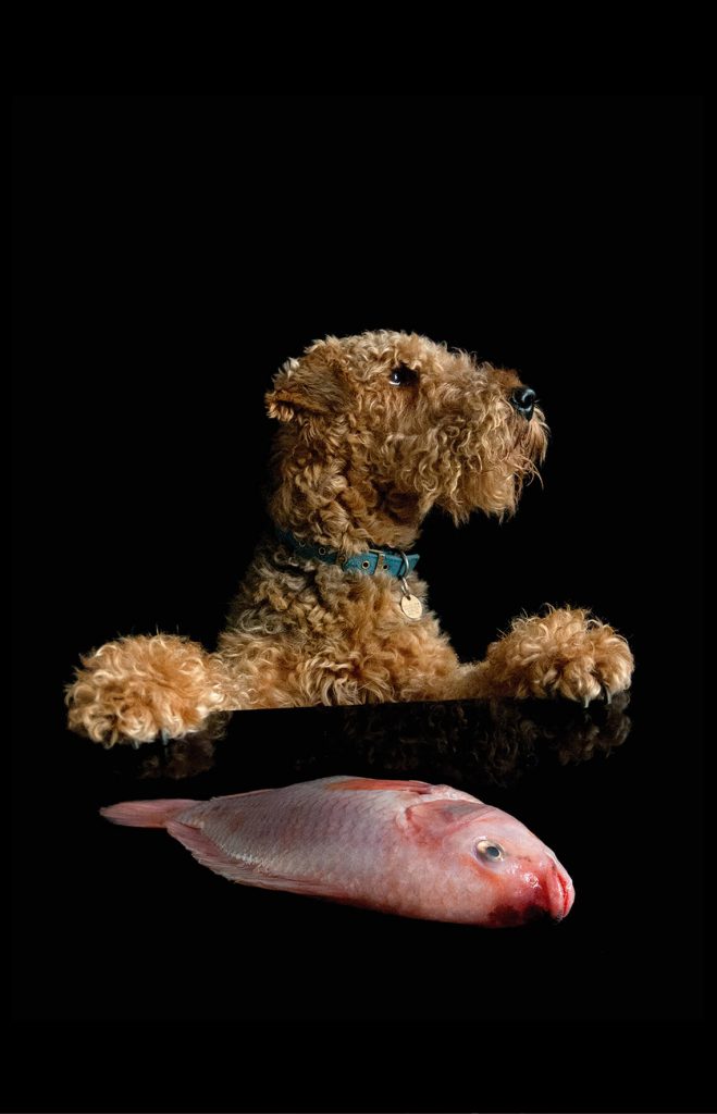 Seamus & Northern Red Snapper